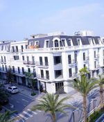 Mua biệt thự liền kề vinhomes hạ long xanh