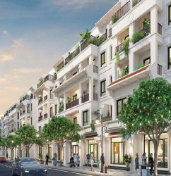 nhà liền kề vinhomes hạ long xanh